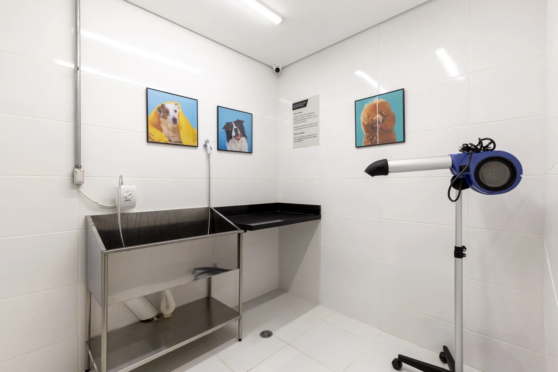 Pet Place e Pet Wash para cuidar do seu companheiro onde você mora.