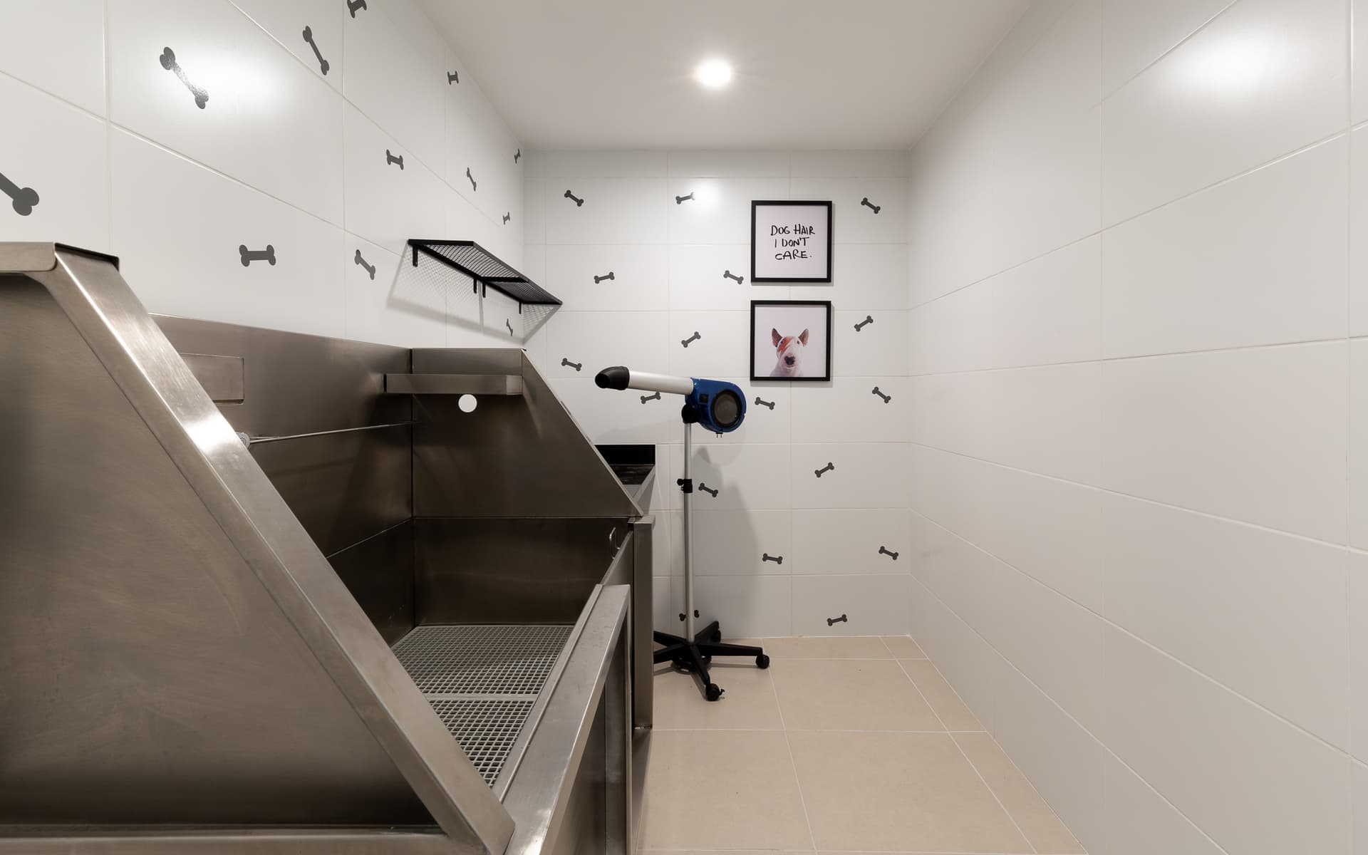 Pets em apartamentos: boas práticas para manter o local limpo e não gerar mal-estar no condomínio