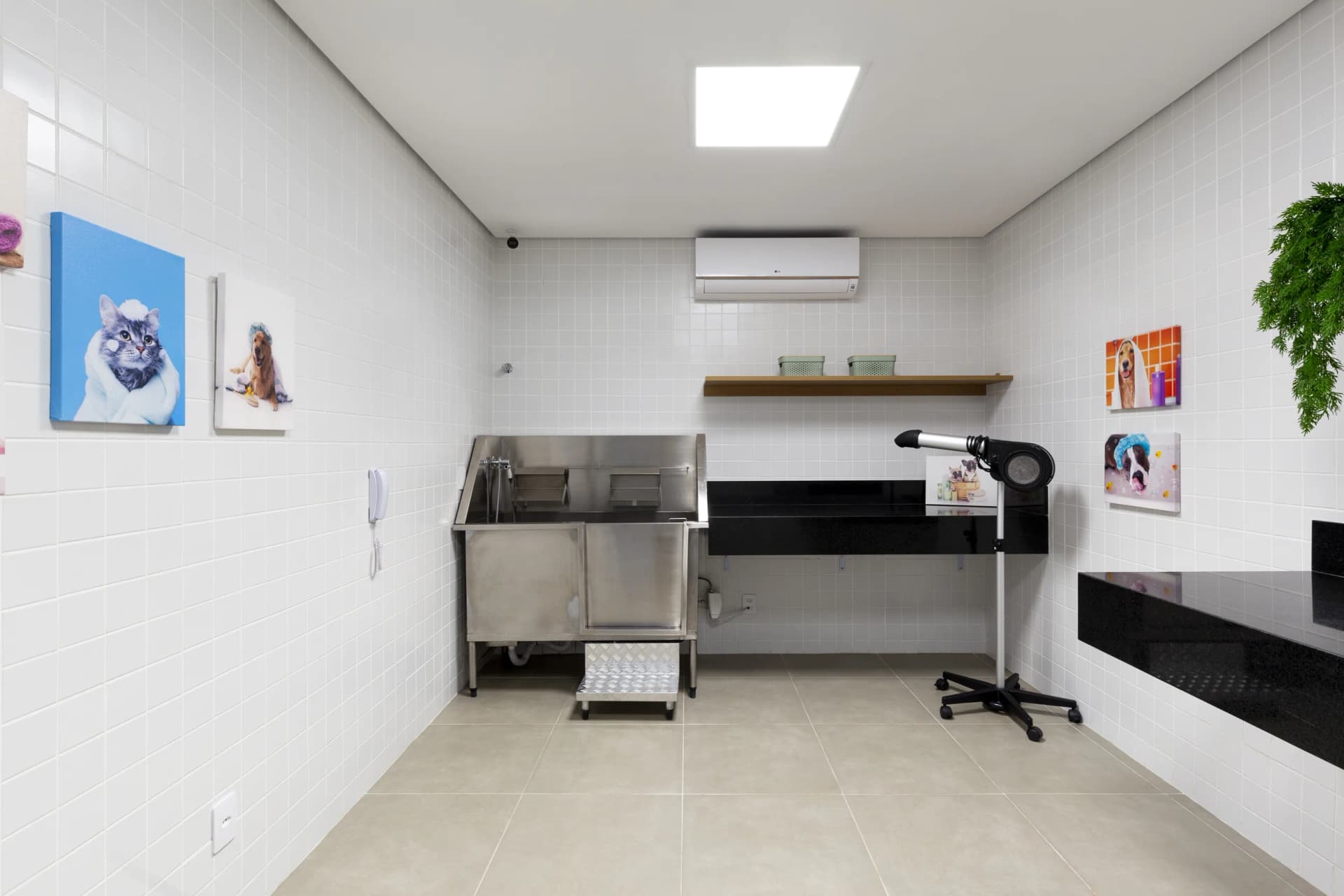 Pet Place e Pet Wash para cuidar do seu companheiro sem precisar sair de casa.