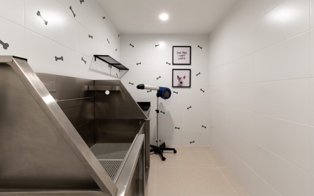 Foto Pets em apartamentos: boas práticas para manter o local limpo e não gerar mal-estar no condomínio