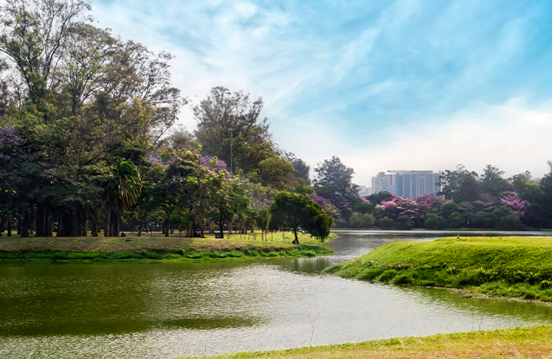 ibirapuera